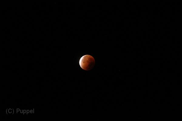 D_20150928-052942 IMG_0558.jpg